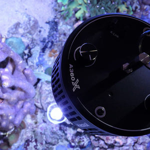 LED A360XE Tuna Blue