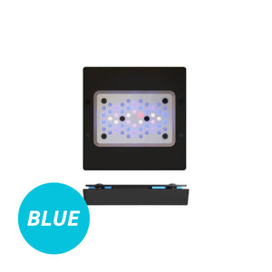 Radion G6 XR15 Blue