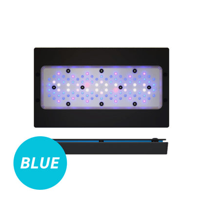 Radion G6 XR30 Blue